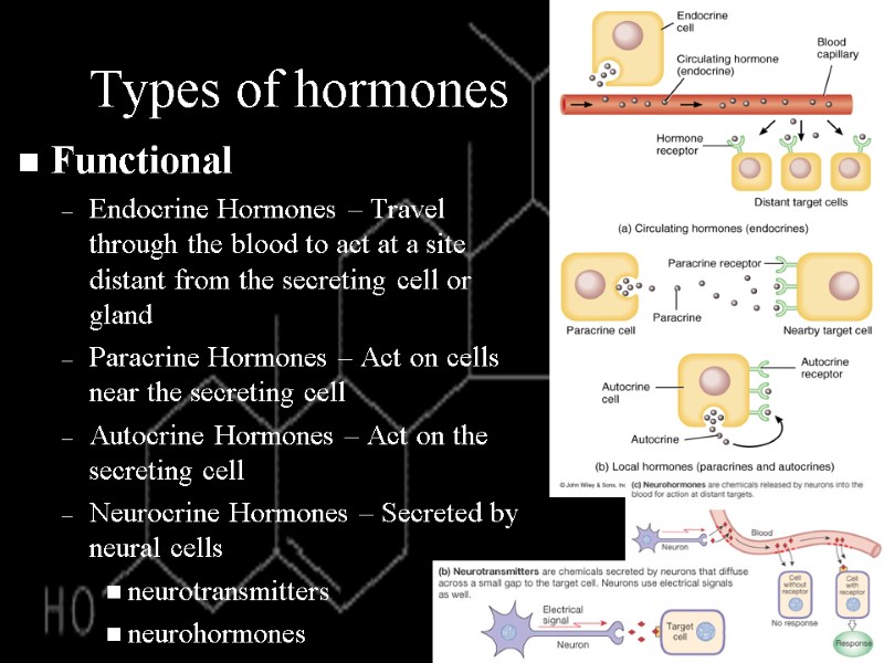 Types of hormones Functional Endocrine Hormones – Travel through the blood to act at